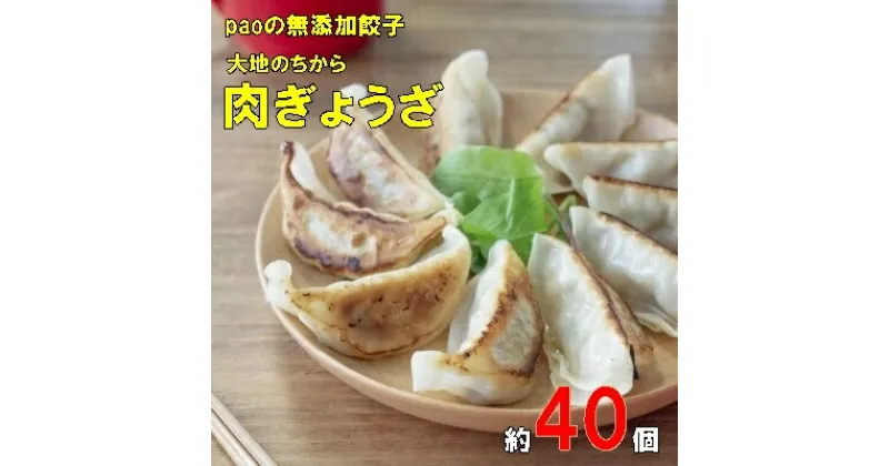 【ふるさと納税】paoの無添加餃子「大地のちから 肉ぎょうざ」840g(約40個) 餃子 ギョーザ 惣菜 冷凍 中華 点心 おかず おつまみ 国産野菜 058008