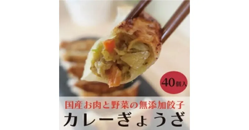 【ふるさと納税】paoの無添加餃子「カレーぎょうざ」640g(約40個) 餃子 ギョーザ 惣菜 冷凍 中華 点心 おかず おつまみ 国産野菜 カレー風味 058006