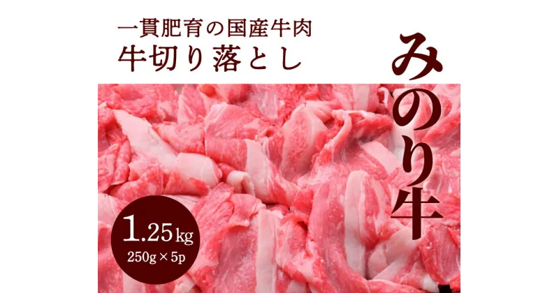 【ふるさと納税】【ミノリフーズ】みのり牛切り落とし 1.25kg（250g×5パック） 052009