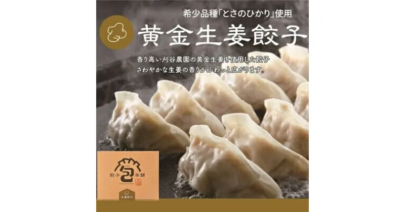 【ふるさと納税】「黄金生姜餃子」260g(約20個) 餃子本舗 包 餃子 しょうが ギョーザ ぎょうざ 惣菜 冷凍 中華 点心 おかず おつまみ 国産野菜 058012