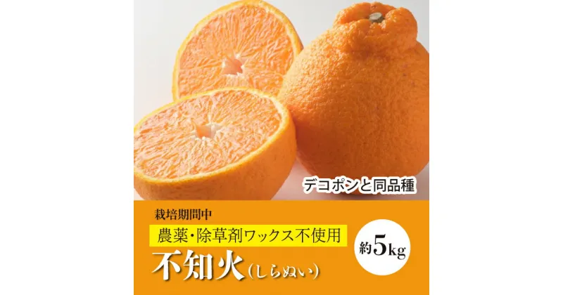 【ふるさと納税】【先行予約】しらぬい約5kg《果遊工房》【2025年3月以降発送】佐木島 鷺島みかんじま フルーツ デコポン 不知火 蜜柑 柑橘 果物 みかん ミカン ジューシー 産地直送 お取り寄せ 017011