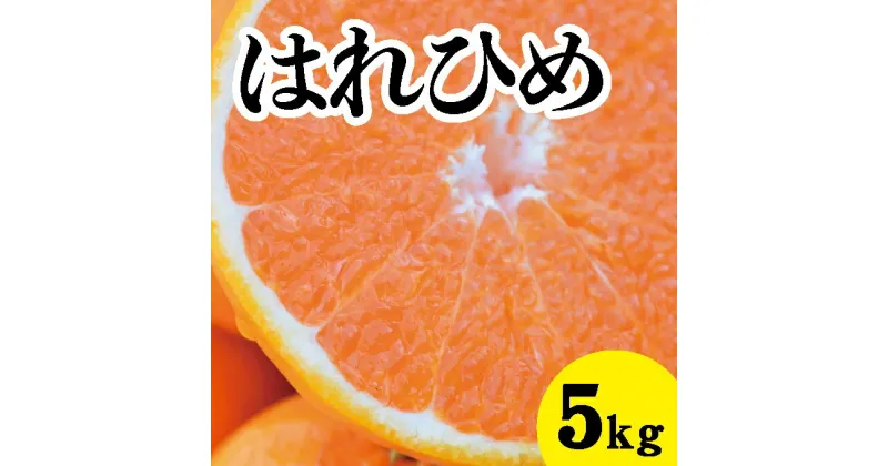 【ふるさと納税】【先行予約】はれひめ約5kg【2025年1月以降発送】新品種 広島 三原 佐木島 鷺島みかんじま フルーツ 蜜柑 柑橘 果物 みかん ミカン 産地直送 お取り寄せ 017018