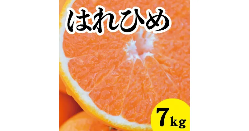 【ふるさと納税】【先行予約】はれひめ約7kg【2025年1月以降発送】新品種 広島 三原 佐木島 鷺島みかんじま フルーツ 蜜柑 柑橘 果物 みかん ミカン 産地直送 お取り寄せ 017019