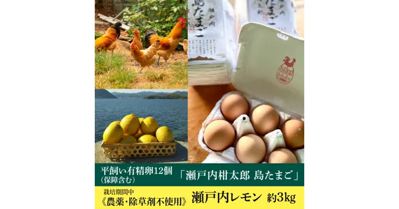 【ふるさと納税】【先行予約】レモン 卵 平飼い有精卵 「島たまご」 10個＋2個（保障付）と 栽培中農薬・除草剤不使用 旬のレモン 約3kg【2025年4月以降発送】 ≪ 白須ファーム ≫ 広島 三原 佐木島 鷺島みかんじま 017002