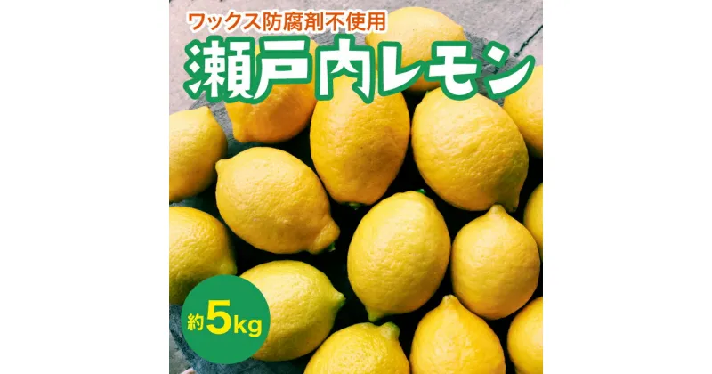 【ふるさと納税】【先行予約】瀬戸内レモン約5kg【2024年11月以降発送】れもん 檸檬 果物 国産 佐木島 フルーツ 広島レモン 産地直送 017031