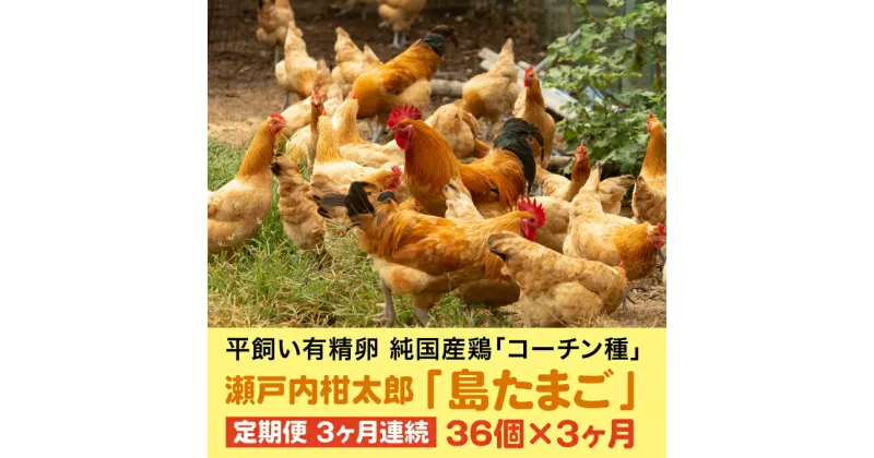 【ふるさと納税】【3か月定期便】島たまご34個(破卵保障＋2個)《有精卵》合計108個 平飼い 新鮮 卵 玉子 瀬戸内柑太郎 純国産鶏 産地直送 コーチン 017033