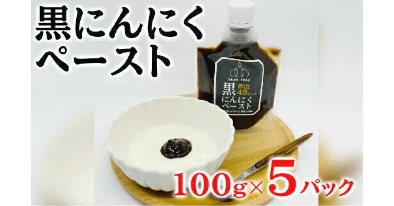 【ふるさと納税】黒にんにくペースト 100g×5パック セット (1) 黒にんにく にんにく 調味料 118001