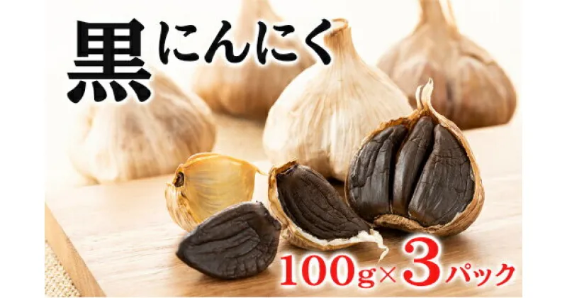 【ふるさと納税】黒にんにく 100g×3パック セット (2) にんにく 加工品 118002