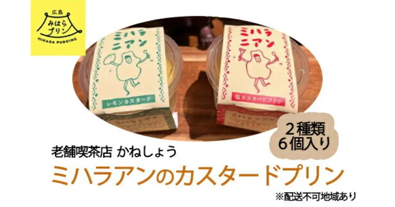 【ふるさと納税】ミハラニアン カスタードプリン 2種類 6個セット 塩カスタードプリン レモンカスタードプリン かねしょう スイーツ デザート 洋菓子 おやつ お菓子 菓子 ギフト 010003