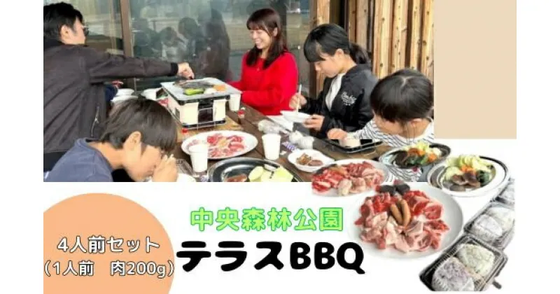 【ふるさと納税】中央森林公園 テラスBBQ 4人前セット (1人前 肉200g) ランチ 手ぶら お手軽 バーベキュー 126003