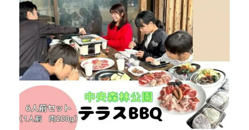 【ふるさと納税】中央森林公園 テラスBBQ 6人前セット (1人前 肉200g) ランチ 手ぶら お手軽 バーベキュー 126005