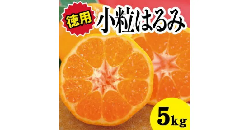 【ふるさと納税】【先行予約・お徳用】小粒はるみ約5kg【2025年2月中旬以降発送】広島 三原 佐木島 鷺島みかんじま フルーツ 蜜柑 柑橘 果物 みかん ミカン 産地直送 お取り寄せ 017024