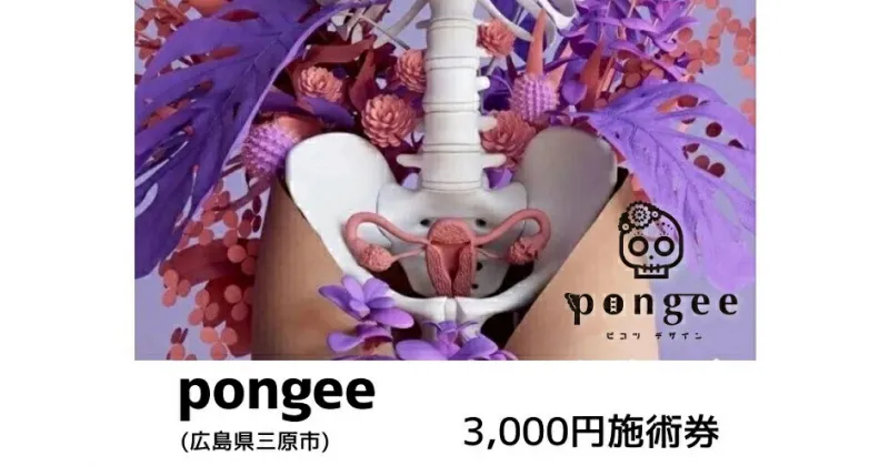 【ふるさと納税】チケット 広島 pongee 美容整骨 施術券 3,000円分 フェムケア 矯正 骨盤矯正 美容 サロン 3000円 広島県 三原市 129001