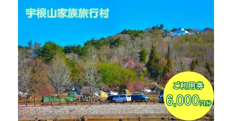 【ふるさと納税】宇根山家族旅行村（キャンプ場） 宇根山天文台 ご利用券 6,000円分 キャンプ 宿泊 バーベキュー 星空 広島県三原市　131002