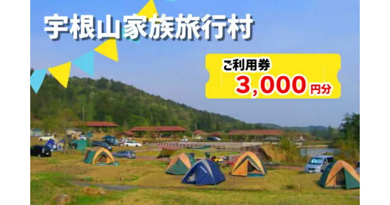 【ふるさと納税】宇根山家族旅行村（キャンプ場） 宇根山天文台 ご利用券 3,000円分 キャンプ 宿泊 バーベキュー 星空 広島県三原市131001