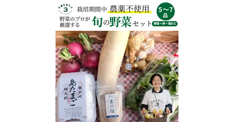 【ふるさと納税】【栽培期間中無農薬】野菜のプロが選ぶ. 旬の野菜・卵・天然塩 全5〜7品詰め合わせセット（レシピ付き） 野菜 塩 卵 たまご 有機農家 野菜セット オーガニック レシピ 広島県 三原市 佐木島 083002