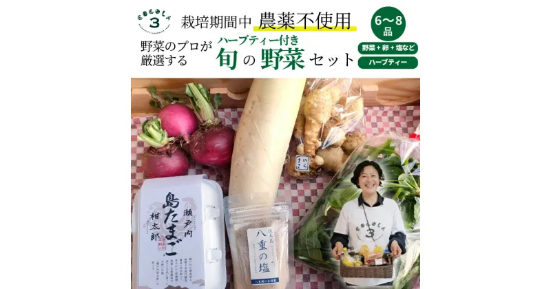 【ふるさと納税】【栽培期間中無農薬】野菜のプロが選ぶ. 旬の野菜・卵・天然塩・ハーブティー 全6〜8品詰め合わせセット（レシピ付き） 野菜 塩 卵 たまご 有機農家 野菜セット オーガニック レシピ 広島県 三原市 佐木島 083002