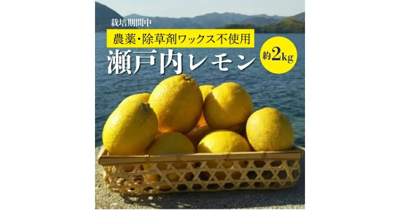 【ふるさと納税】レモン 【先行予約】【2024年11月以降発送】 【栽培期間中 農薬・除草剤不使用】離島 佐木島！旬のレモン 約2kg ≪ 川原ファーム ≫ 広島 三原 佐木島 鷺島みかんじま 017037