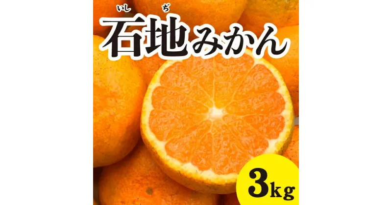 【ふるさと納税】みかん 柑橘 【先行予約】 【2024年12月以降発送】糖度が高く濃厚！ 石地みかん ＜約3kg＞ 広島 三原 佐木島 鷺島みかんじま みかん 017041