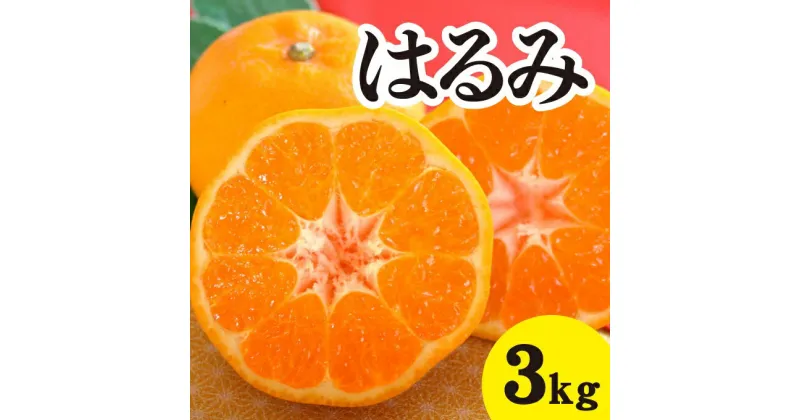 【ふるさと納税】みかん 柑橘 【先行予約】 【2025年2月以降発送】甘くてジューシー！瀬戸内さぎしまのはるみ ＜約3kg＞ 広島 三原 佐木島 鷺島みかんじま みかん 017043