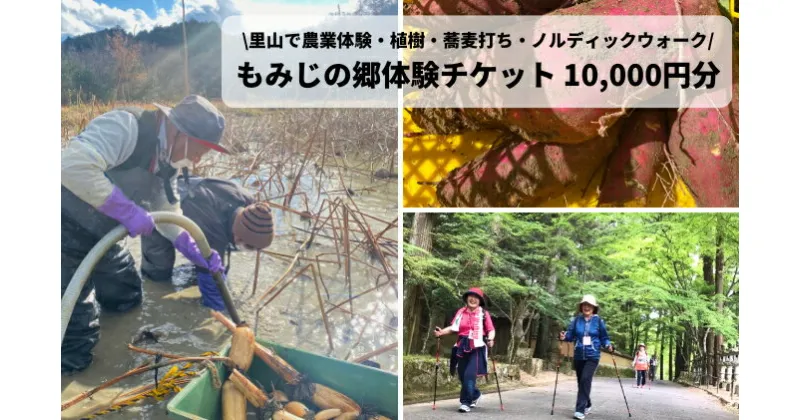 【ふるさと納税】里山で農業体験・植樹・蕎麦打ち・ノルディックウォークで心身共に健康に！もみじの郷体験チケット10,000円分 (1000円×10枚）156001