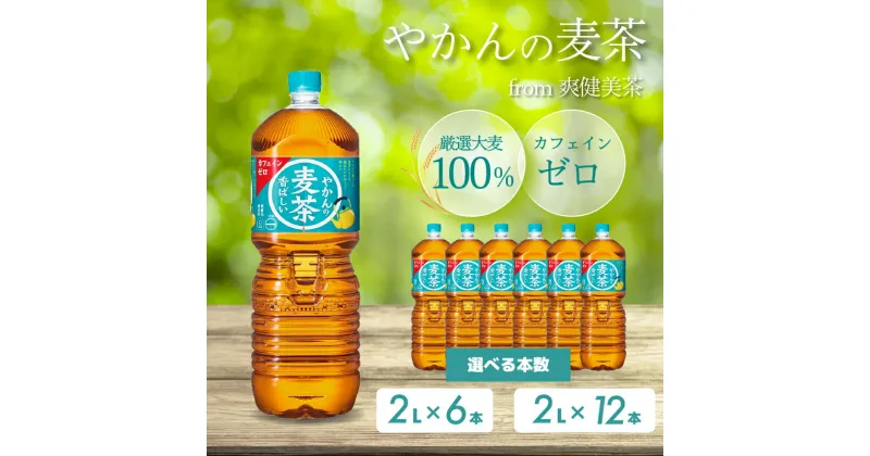 【ふるさと納税】選べる本数！やかんの麦茶 from 爽健美茶 【PET 2L×6本 or 12本】ペットボトル お茶 むぎ茶 飲料 カフェインゼロ 箱買い まとめ買い 防災 備蓄 014066-r