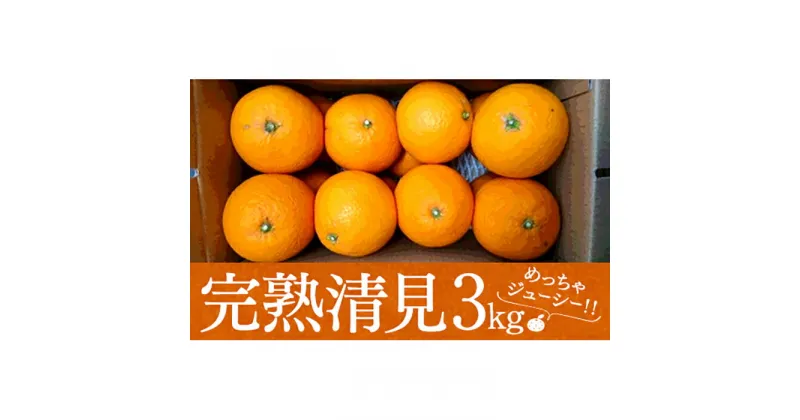 【ふるさと納税】めっちゃジューシー　完熟清見3kg　＜2025年3月下旬より発送開始＞ | 広島県尾道市 広島県 尾道市 広島 尾道 ふるさと 納税 支援 ミカン みかん 蜜柑 フルーツ 果物 完熟 青果 柑橘