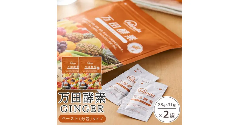 【ふるさと納税】万田酵素 GINGERペースト（分包）タイプ×2袋 | しょうが ジンジャー 酵素 万田酵素 万田発酵 発酵食品 国産 発酵 ペースト 発酵サプリ 植物性 野菜 美容 健康 健康補助食品 まんだこうそ 送料無料 おすすめ 人気 広島県 尾道市