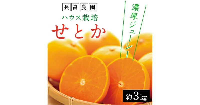 【ふるさと納税】濃厚・ジューシー！ハウス栽培せとか　約3kg　化粧箱入り　＜2025年2月下旬より発送開始＞ | 広島県尾道市 広島県 尾道市 広島 尾道 みかん せとか フルーツ 果物 青果 柑橘 お取り寄せ