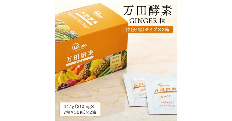 【ふるさと納税】万田酵素 GINGER 粒（分包）タイプ ×2箱 | しょうが ジンジャー 粒 酵素 万田酵素 万田発酵 発酵食品 国産 発酵 発酵サプリ 植物性 野菜 美容 健康 健康補助食品 まんだこうそ 送料無料 おすすめ 人気 広島県 尾道市