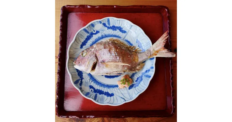 【ふるさと納税】贈答用 鯛の浜焼き 一尾入 | ギフト お食い初め たい 国産 天然鯛 魚 魚介 焼き魚 厳選 送料無料 人気 おすすめ 瀬戸内 広島県 尾道市