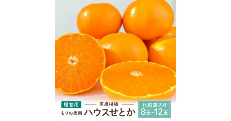 【ふるさと納税】高級柑橘 贈答用ハウスせとか化粧箱8玉～12玉 2025年2月中旬～発送予定 完熟 フルーツ 産地直送 送料無料 瀬戸田 もりの農園 ドルチェみかん | 送料無料 人気 おすすめ 瀬戸内 広島県 尾道市