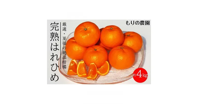 【ふるさと納税】厳選！はれひめ「みかんの甘み」と「オレンジの香り」の新品種！（約4kg）フルーツ お取り寄せ 産地直送 | みかん 柑橘 果物 フルーツ 送料無料 人気 おすすめ 瀬戸内 広島県 尾道市