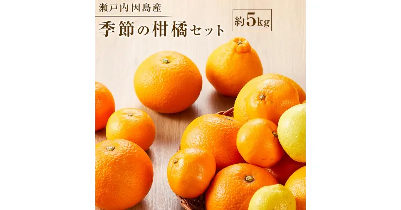 【ふるさと納税】【先行予約】季節の柑橘セット約5kg ＜2025年1月下旬から発送＞ | フルーツ 果物 くだもの 食品 人気 おすすめ 送料無料