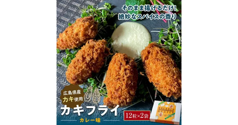 【ふるさと納税】＼寄附額改定／　広島県産 カキフライ(カレー)12粒×2袋 | かき 牡蠣 冷凍 福山市 ふるさと納税