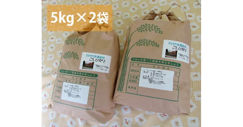 【ふるさと納税】No.303 府中市の岳山清流米コシヒカリ　10kg ／ お米 精米 こしひかり 送料無料 広島県