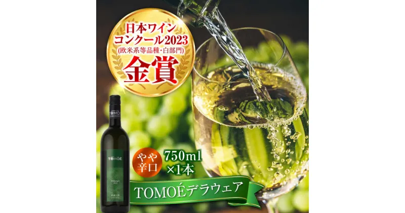 【ふるさと納税】TOMOEデラウェア 白ワイン やや辛口 750ml 1本 ワイン 受賞 ギフト 三次市 / 広島三次ワイナリー[APAZ001]