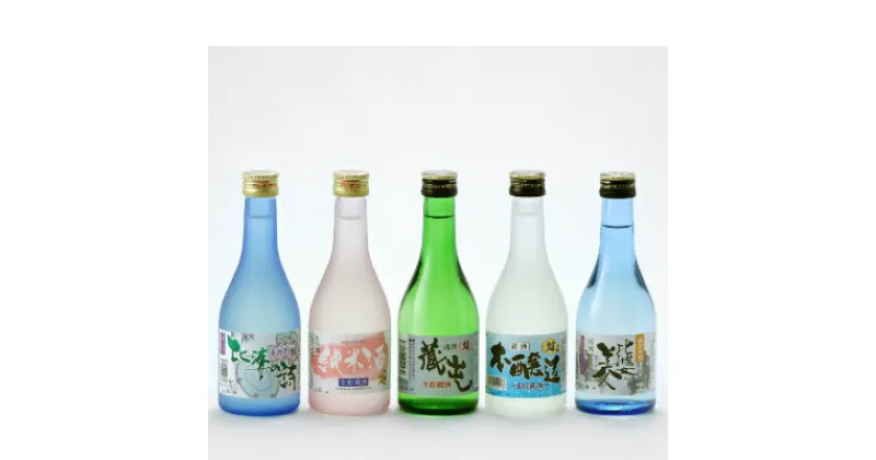 【ふるさと納税】呑みくらべ5本セット(300ml×5本)【1202419】