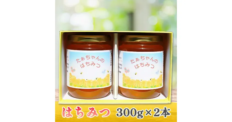 【ふるさと納税】たぁちゃんのはちみつ 300g×2本｜ハチミツ 蜂蜜 はち蜜 [1643]