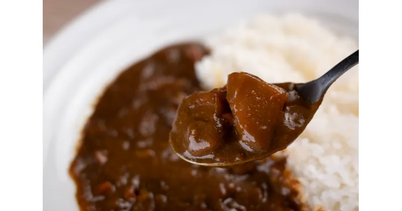 【ふるさと納税】美酒カレー詰め合わせセットA