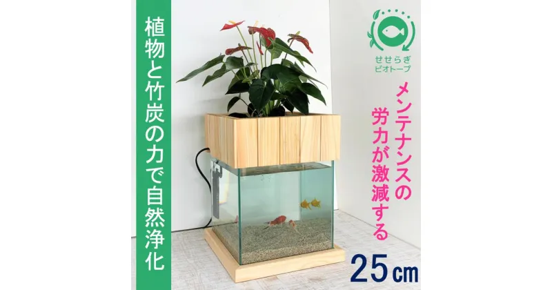 【ふるさと納税】水槽セット　25cm せせらぎビオトープ　アクアリウム　木枠台　金魚　植物