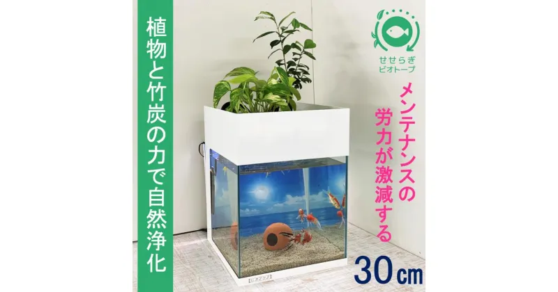 【ふるさと納税】水槽セット　せせらぎビオトープ　アクアリウム　30cm　照明　スチールカバー　観賞魚