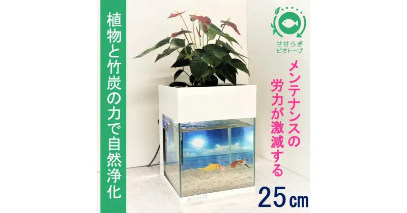 【ふるさと納税】水槽セット　せせらぎビオトープ　アクアリウム　25cm　照明　スチールカバー　観賞魚