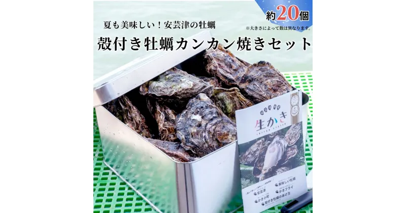 【ふるさと納税】カンカン焼きセット 広島 殻付き牡蠣 約20個 マルミ水産【配送不可：離島】