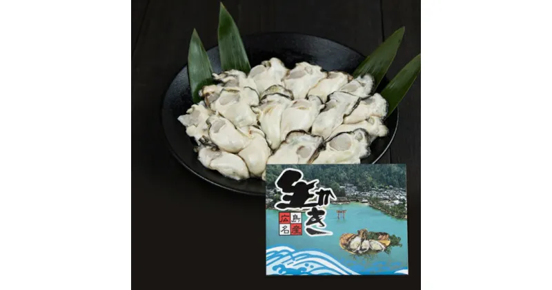 【ふるさと納税】広島安芸津産　生牡蠣むき身1.5kg【配達不可：北海道・沖縄・離島】【配送時期：11月下旬〜4月下旬】