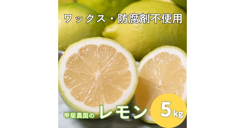 【ふるさと納税】ワックス・防腐剤不使用の皮ごと使えるレモン5kg【配送時期：9月上旬〜3月下旬】