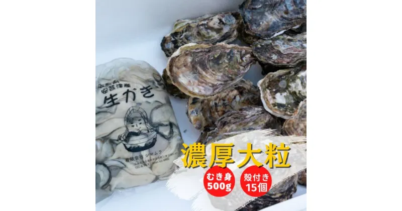 【ふるさと納税】【予約商品】牡蠣 詰め合わせ 殻付き 15個 むき身 500g 広島県産 新鮮 全国配送 濃厚リピート【配送不可：離島】【配送時期：1月上旬〜3月下旬】