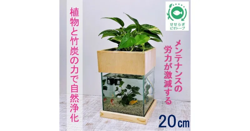 【ふるさと納税】水槽セット ろ過 ポンプ 植物 癒し 水替え不要20cm 型基本+木枠台セット