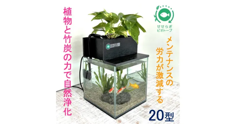 【ふるさと納税】水槽セット　ろ過　水替え不要　植物　20cm型基本セット黒色