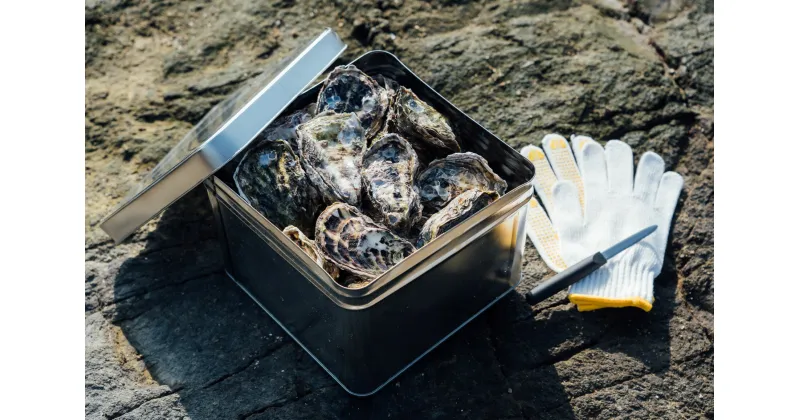 【ふるさと納税】【予約商品】牡蠣　広島　カンカン焼き（15個入）　矢野水産【配送不可：離島】【配送時期：2025年1月上旬〜2025年4月上旬】